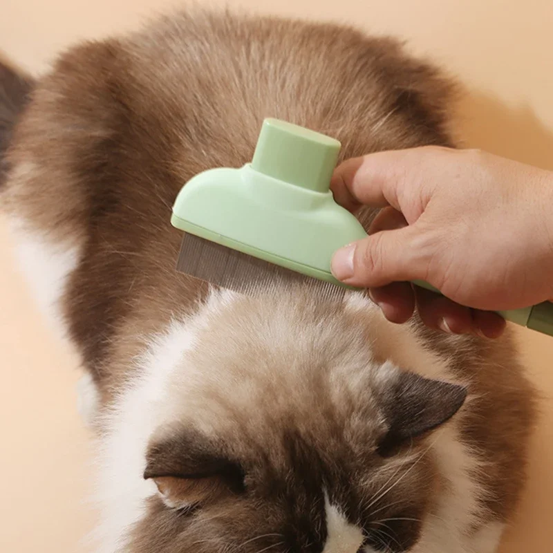 Peine para Gato, cepillo para  - Makeup Beauty Ro reseña y precio
